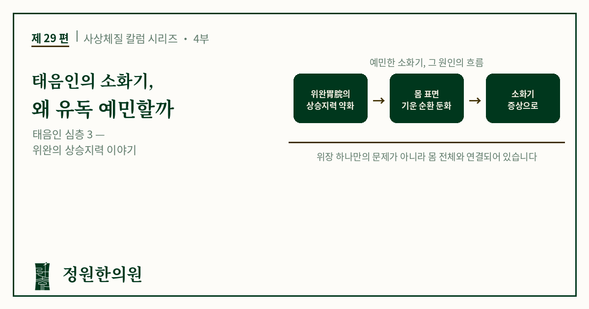 사상29편. 태음인의 소화기, 왜 유독 예민할까