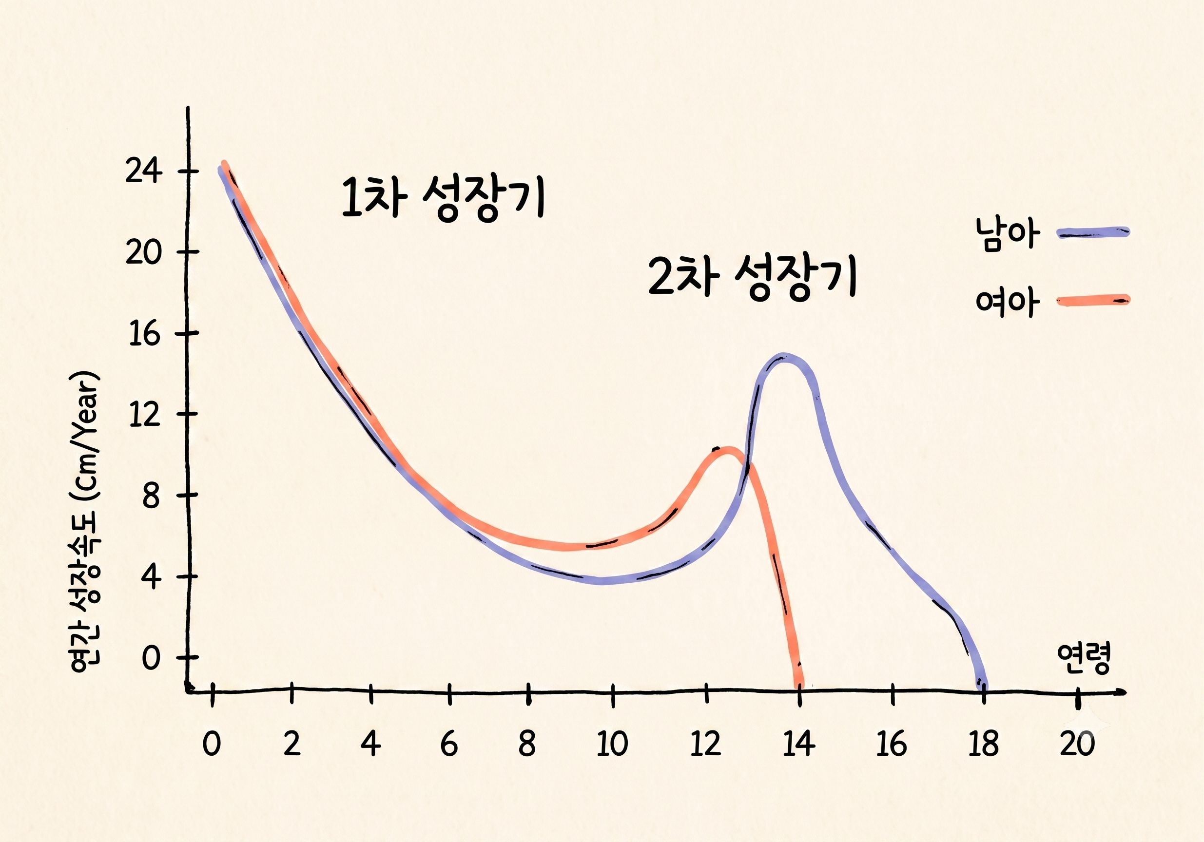 성장 주사를 맞혀야 할까요, 한약을 먹여야 할까요?
